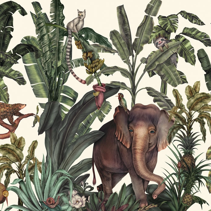 Display product Jungle Kingdom - Original from manufacturer Feathr