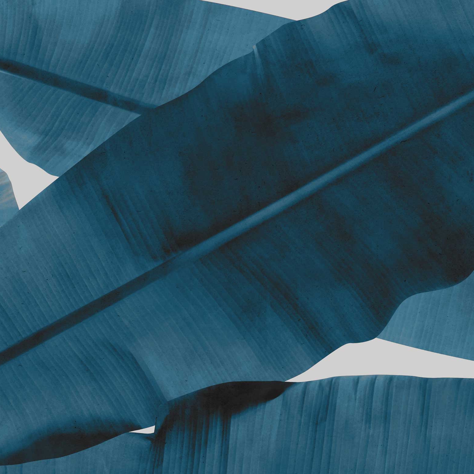 Mostra il prodotto Kirungu - Blue del produttore Feathr