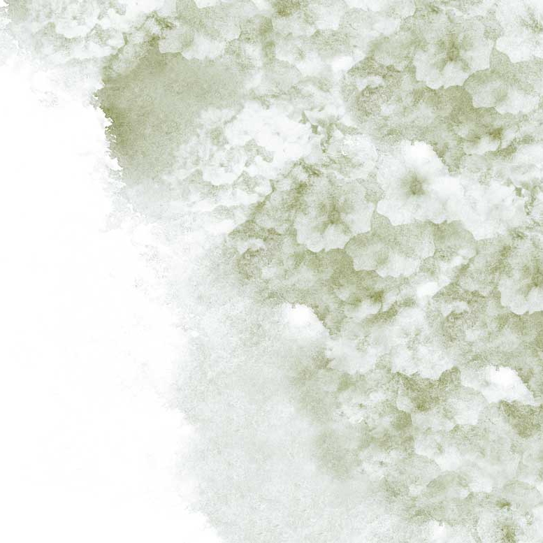 Lost Garden - Moss
