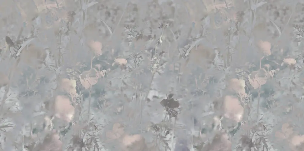Feathr - Meadow Geranium - Original