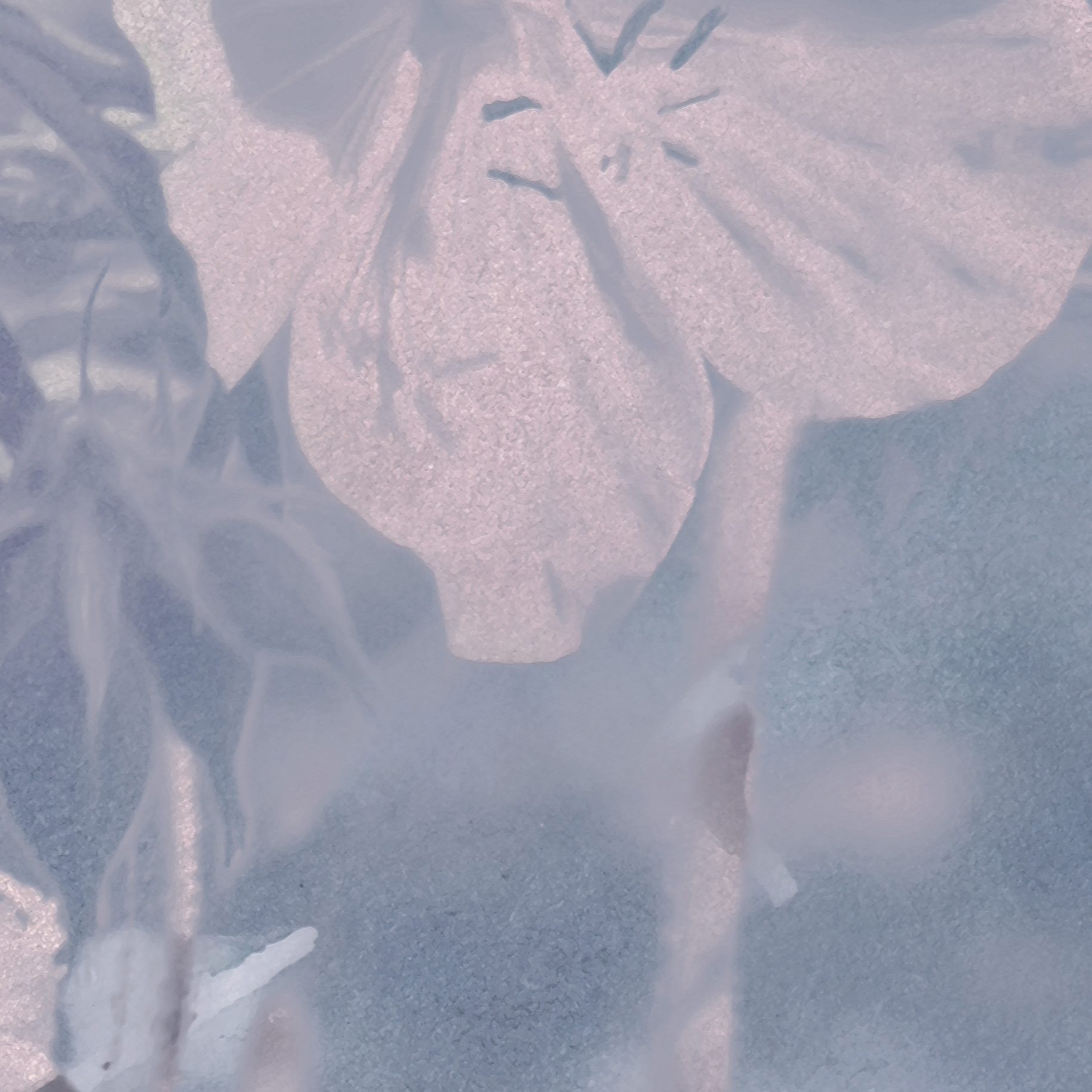 Mostra il prodotto Meadow Geranium Fabric - Pink & Blue del produttore Feathr
