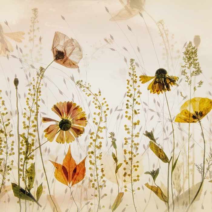 Mostrar el producto Meadow Life - Original del fabricante Feathr
