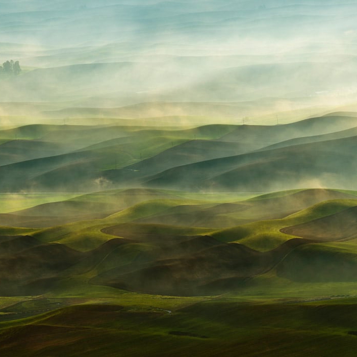 Mostra il prodotto Misty Farmland - Original del produttore Feathr
