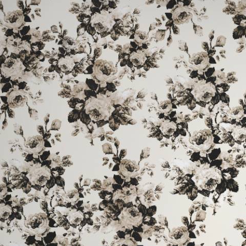 Moody Bloom - Cream