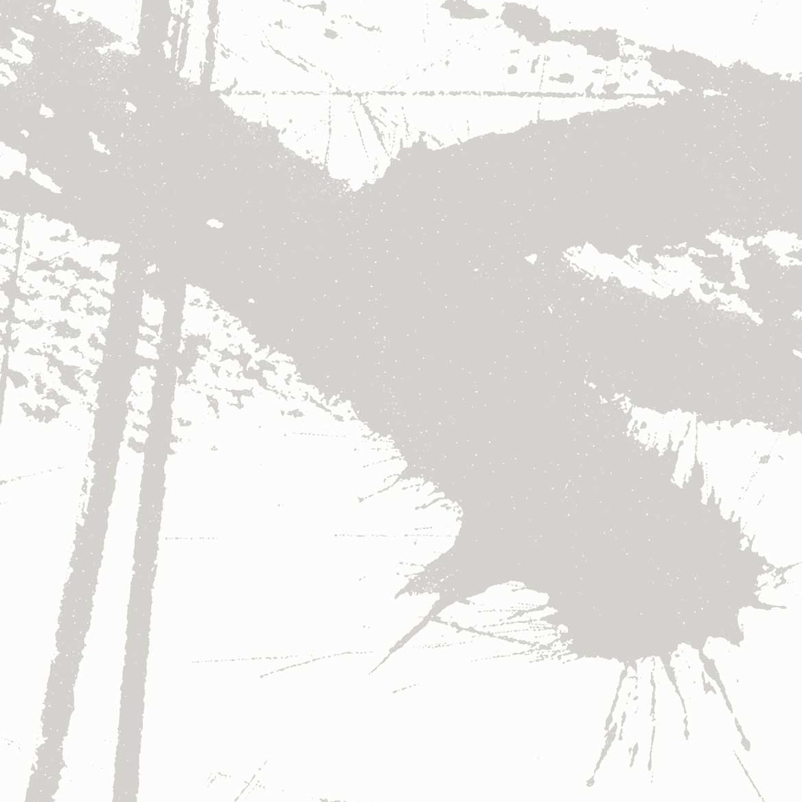 Mostra il prodotto Neven - Grey del produttore Feathr