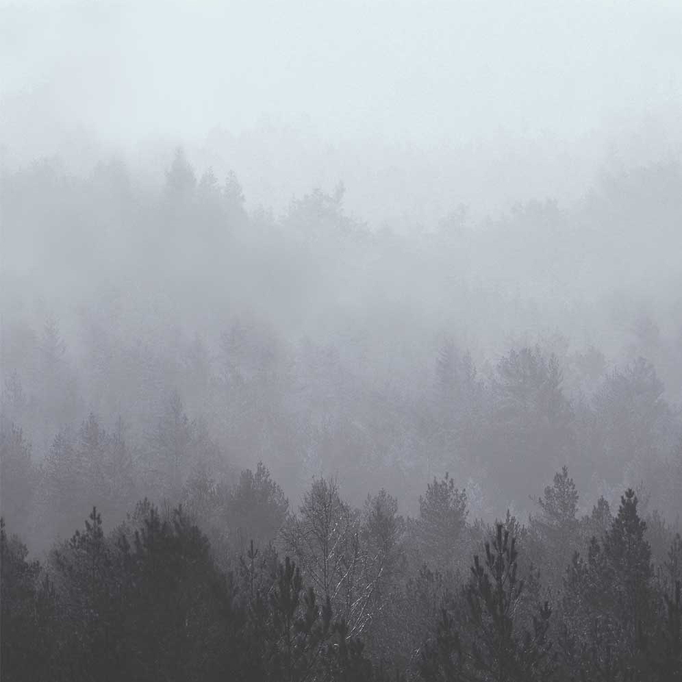 Nordic Dawn - Ice