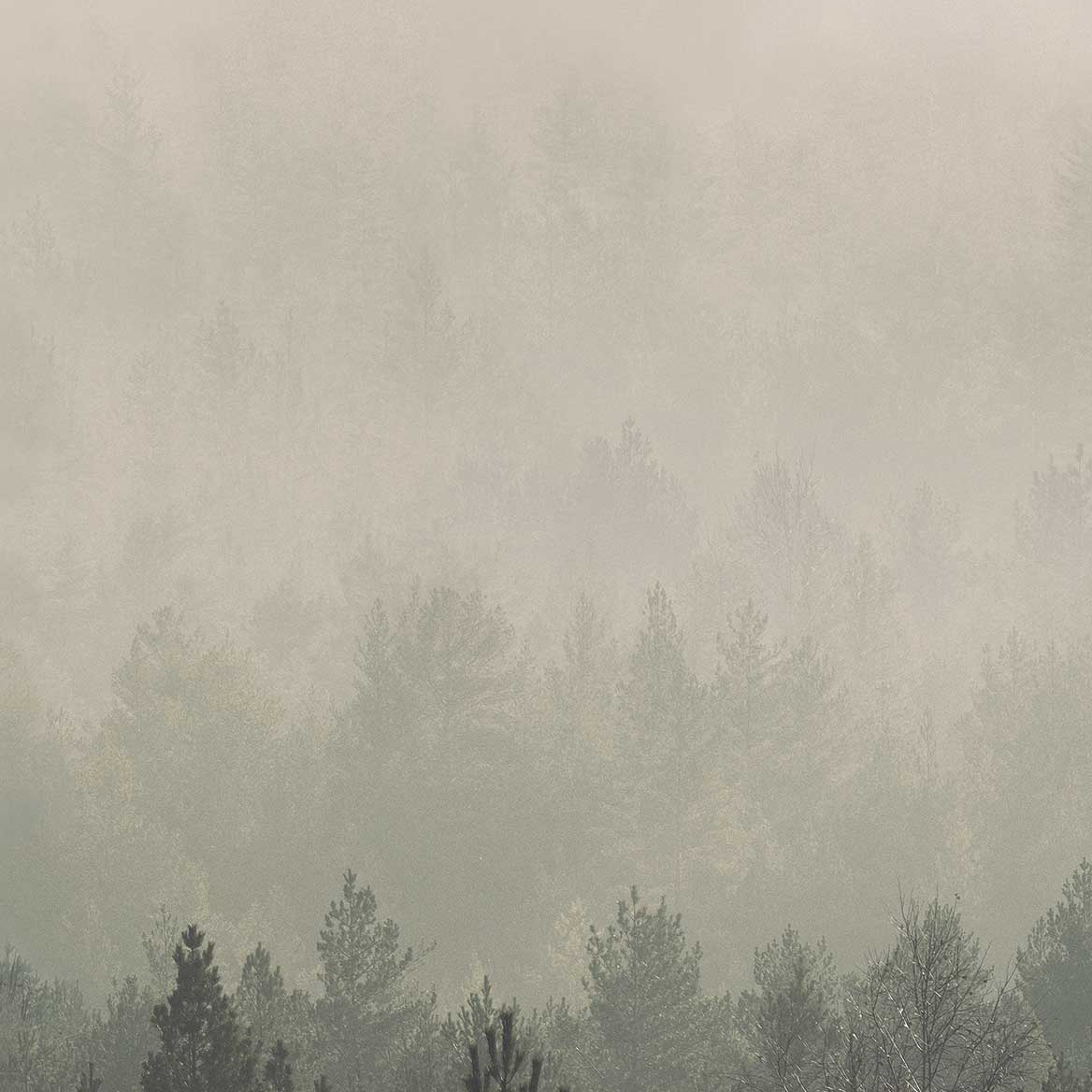 Mostra il prodotto Nordic Dawn - Original del produttore Feathr