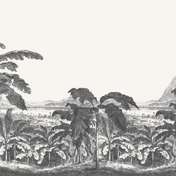 Mostra il prodotto Palms and Mountain - Original del produttore Feathr