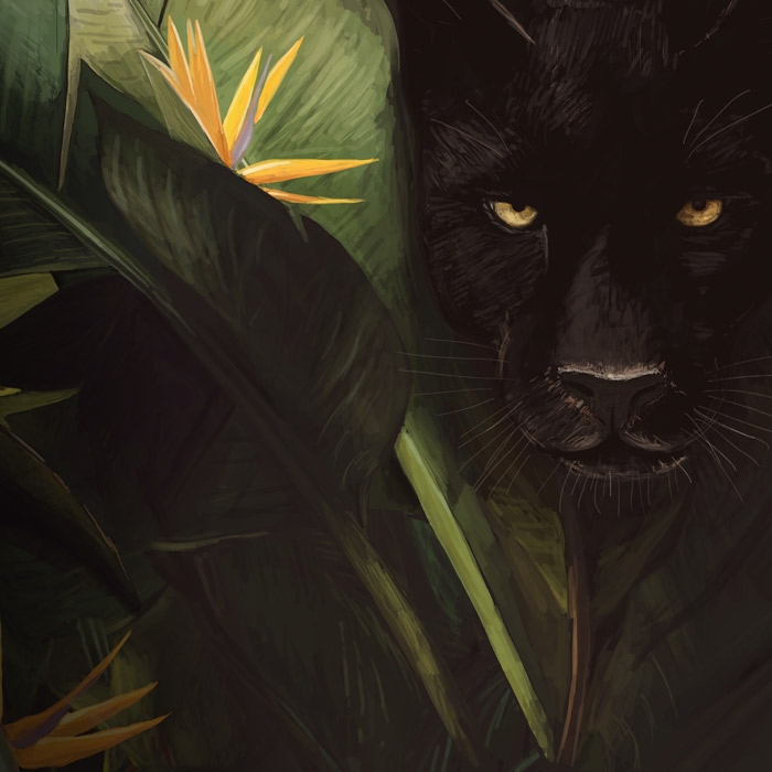 Display product Panther - Original from manufacturer Feathr