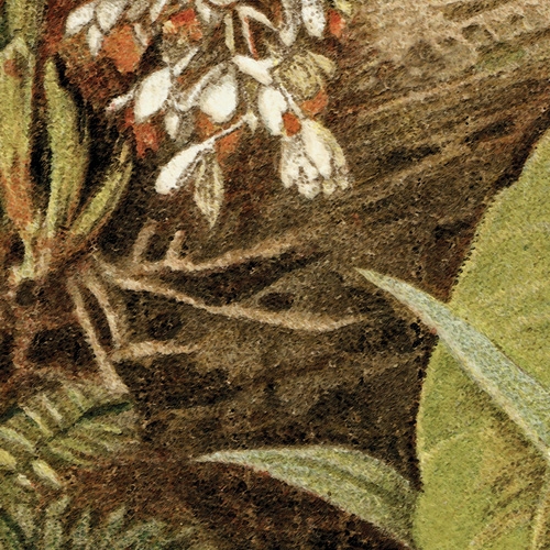Mostra il prodotto Paradise Lost Fabric - Green del produttore Feathr