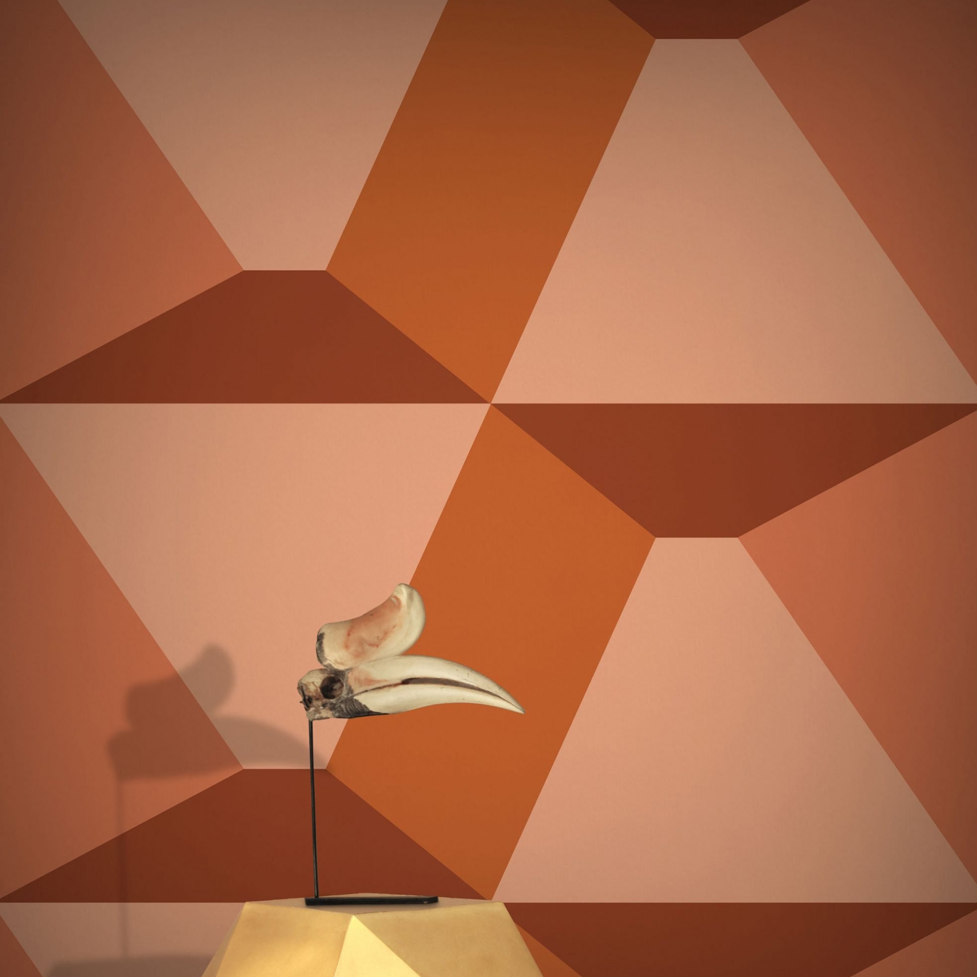 Polly Gone! - Copper