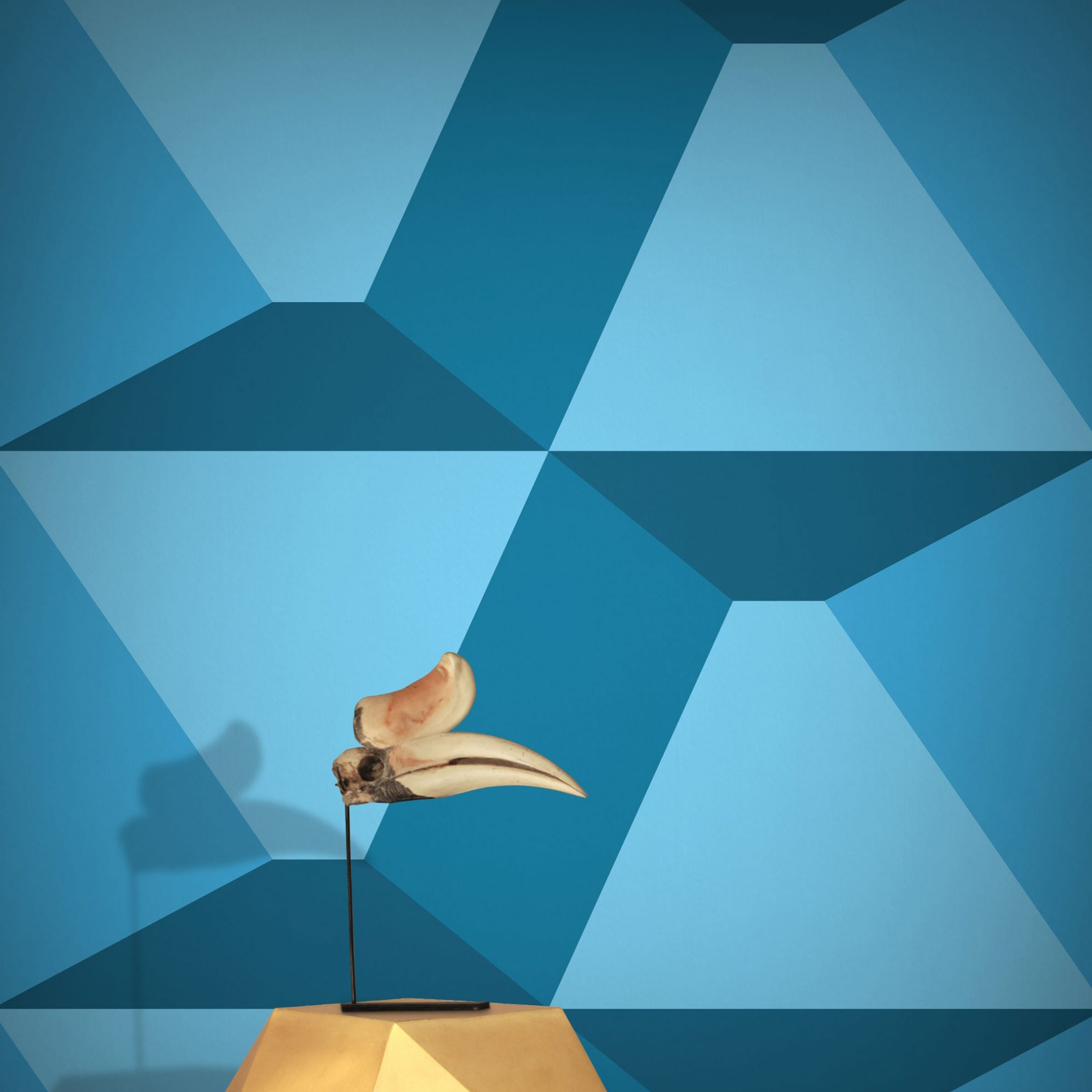 Mostra il prodotto Polly Gone! - Cyan del produttore Feathr