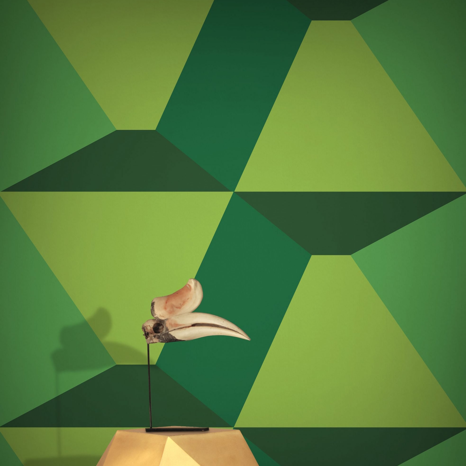 Polly Gone! - Leaf