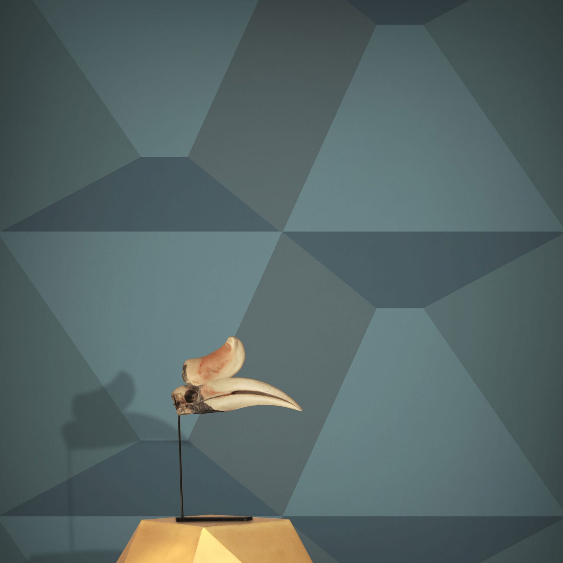 Polly Gone! - Teal