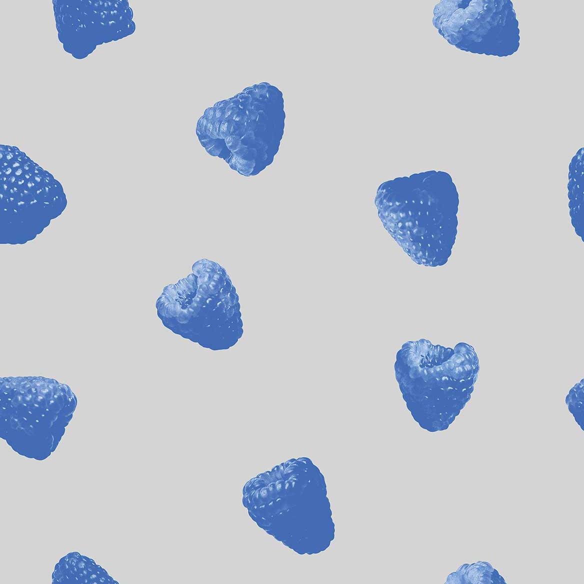 Raspberry Pop - Blue