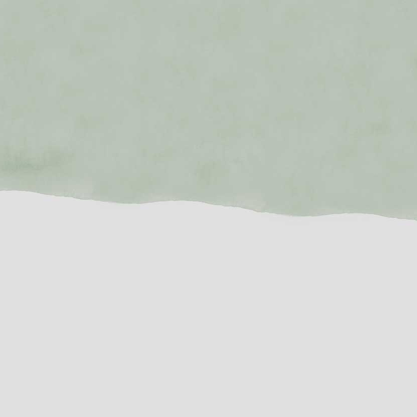 Sand - Sage