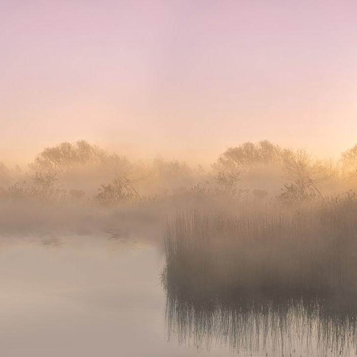 Afficher le produit Sunrise River - Original du fabricant Feathr