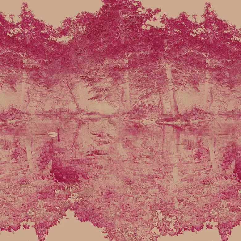 Feathr - Swan - Rose