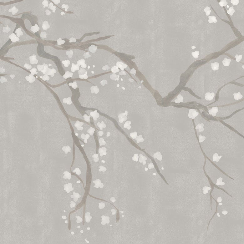 Takeda - Snow