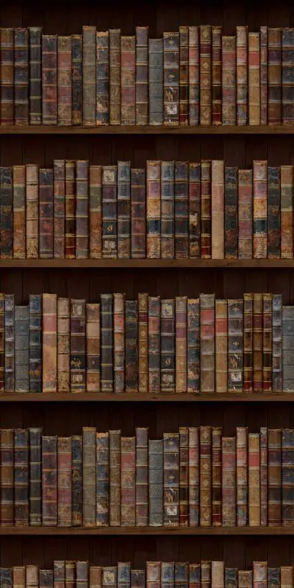 Feathr - The Library - Original