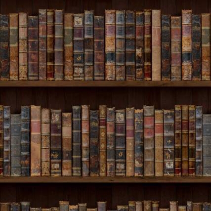 Vertoon produk The Library - Original van vervaardiger Feathr