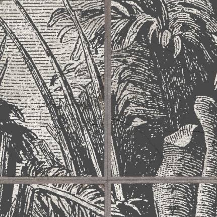 Afficher le produit The Palm Grove - Vintage du fabricant Feathr