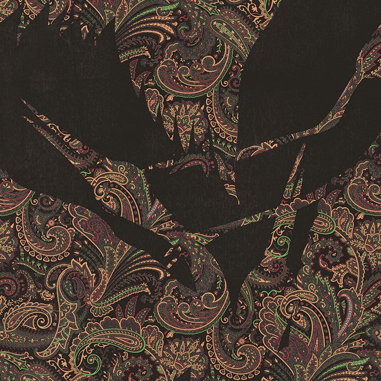 The Swoop - Black