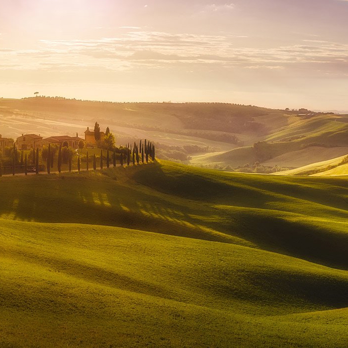 Produkt Tuscany - Original des Herstellers Feathr anzeigen