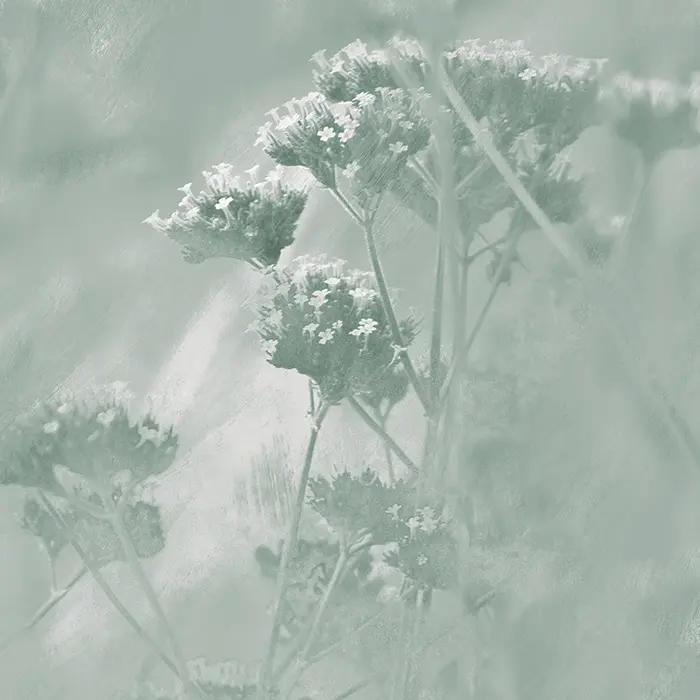 Feathr - Verbena - Vert