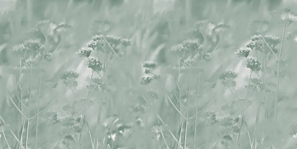 Feathr - Verbena - Vert