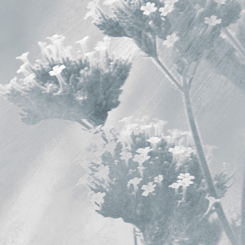 Verbena Fabric - Blue
