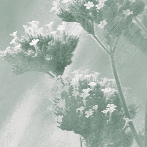 Mostra il prodotto Verbena Fabric - Green del produttore Feathr