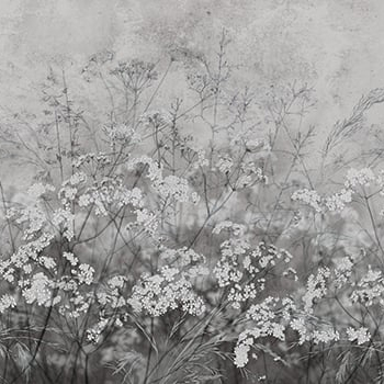 Produkt Wild Flowers - Original des Herstellers Feathr anzeigen