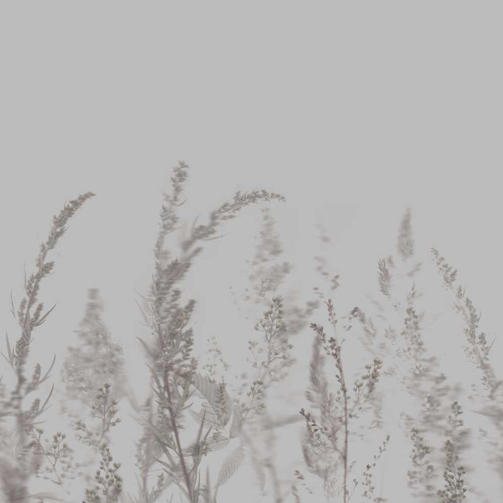 Produkt Windy Meadow - Cloudy Grey des Herstellers Feathr anzeigen
