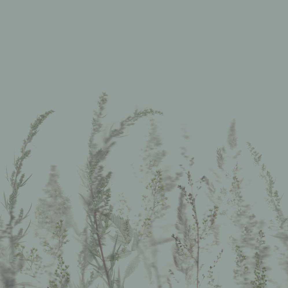 Produkt Windy Meadow - Earth Green des Herstellers Feathr anzeigen