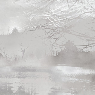 Mostra il prodotto Worsley Woodland Fabric - Monochrome del produttore Feathr
