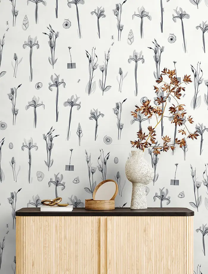 Feathr - X-Ray Botanics 01 - Grey