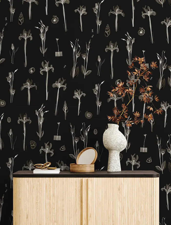 Feathr - X-Ray Botanics 01 - Night