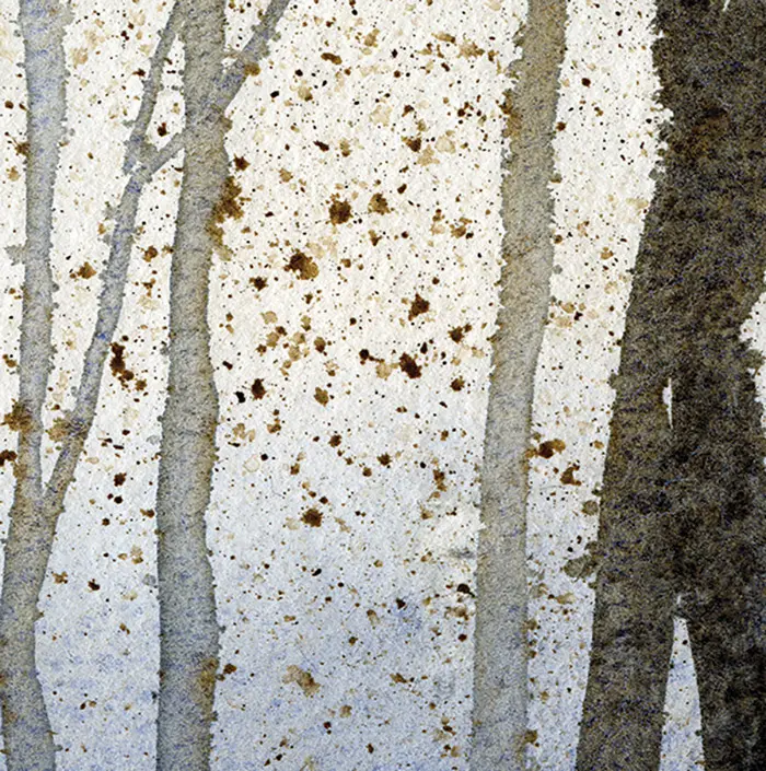 Feathr - Zephyr - Day