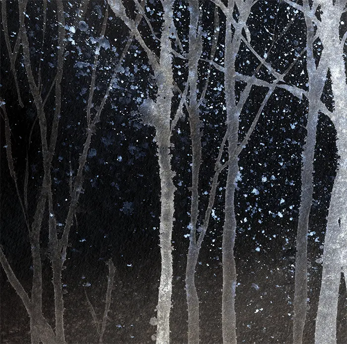 Feathr - Zephyr - Night