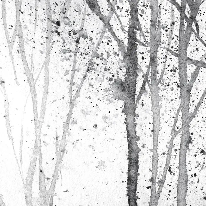 Feathr - Zephyr Fabric - Black & White
