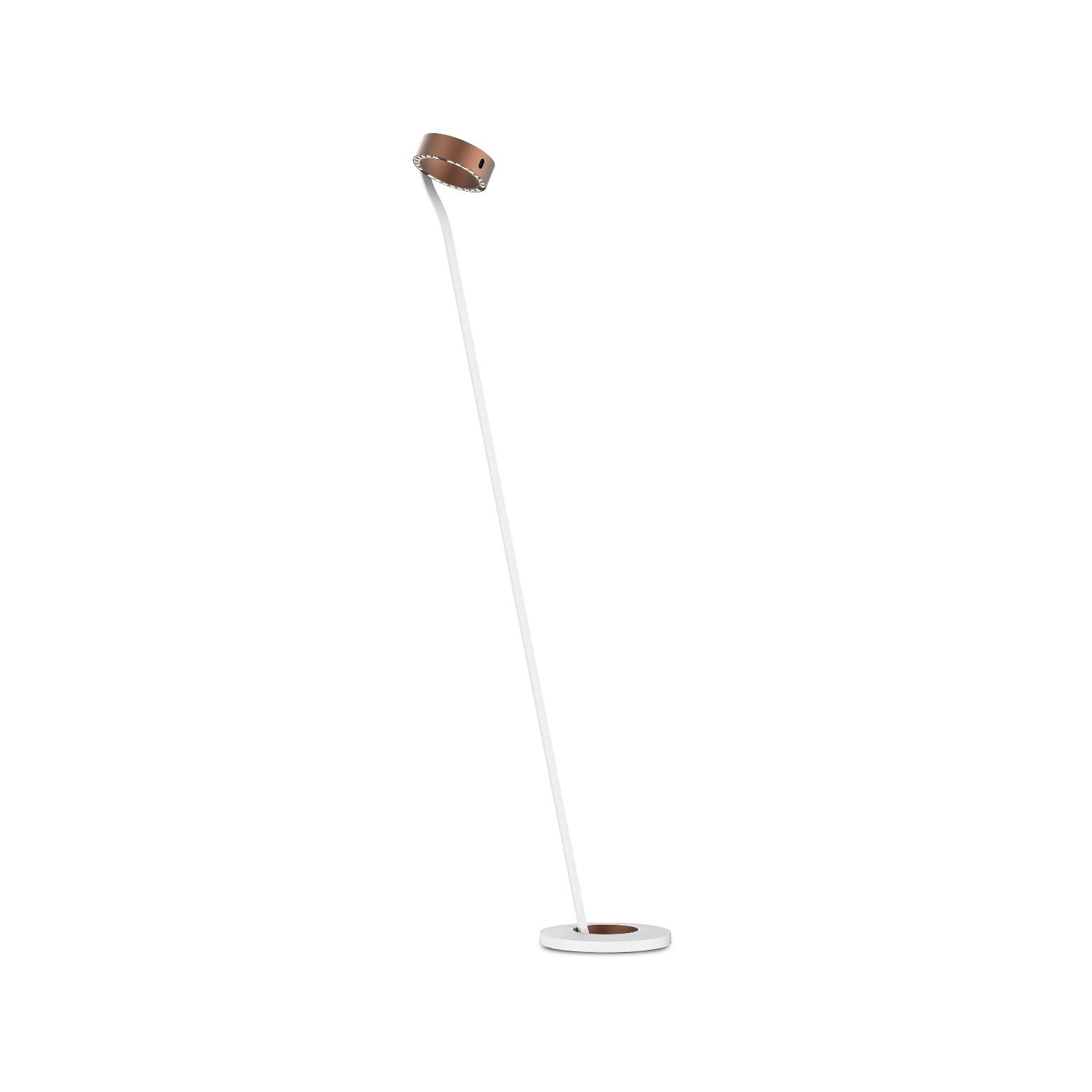 c.Ray Floor L Broww | Brushed Bronze/Satin White