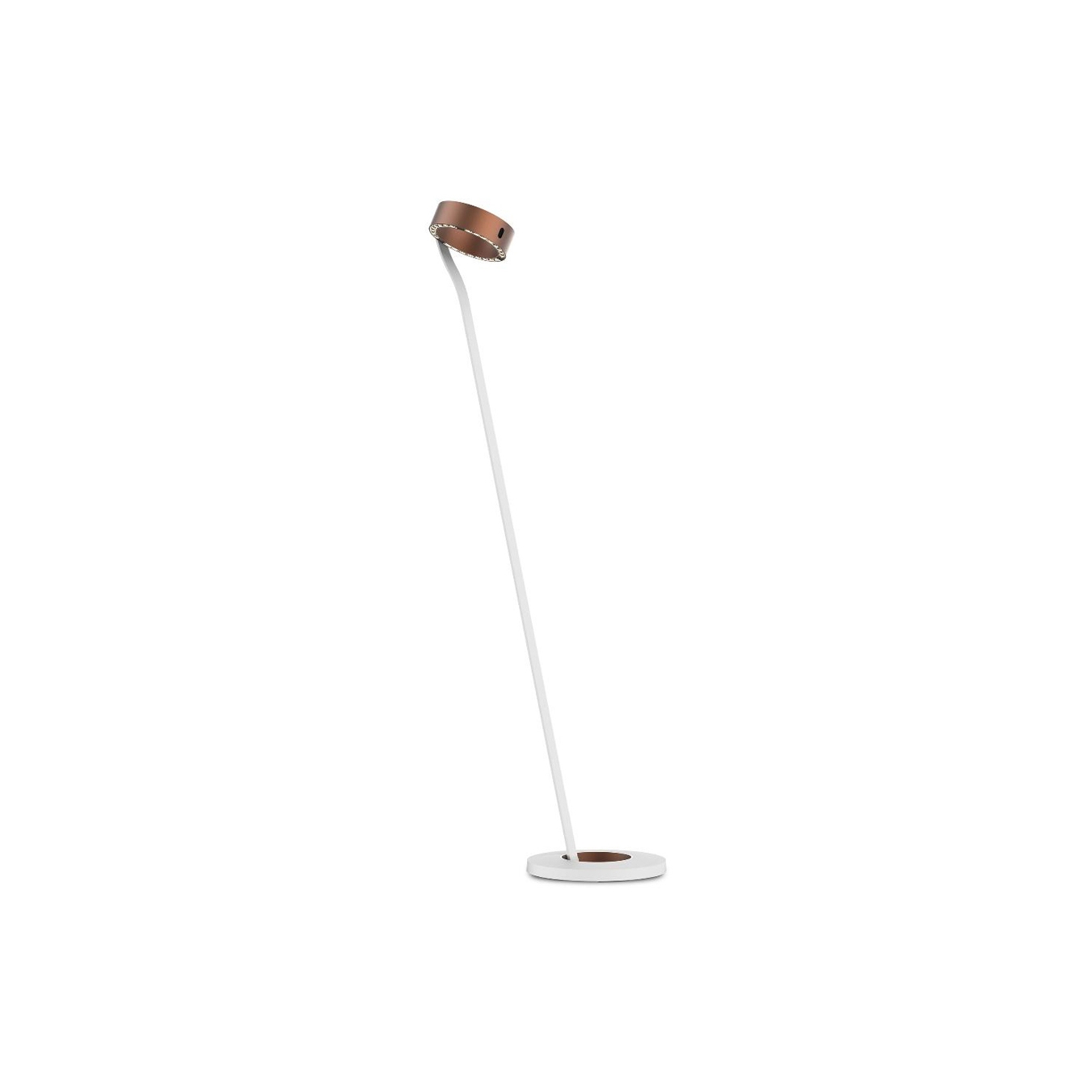 c.Ray Floor M Broww | Brushed Bronze/Satin White