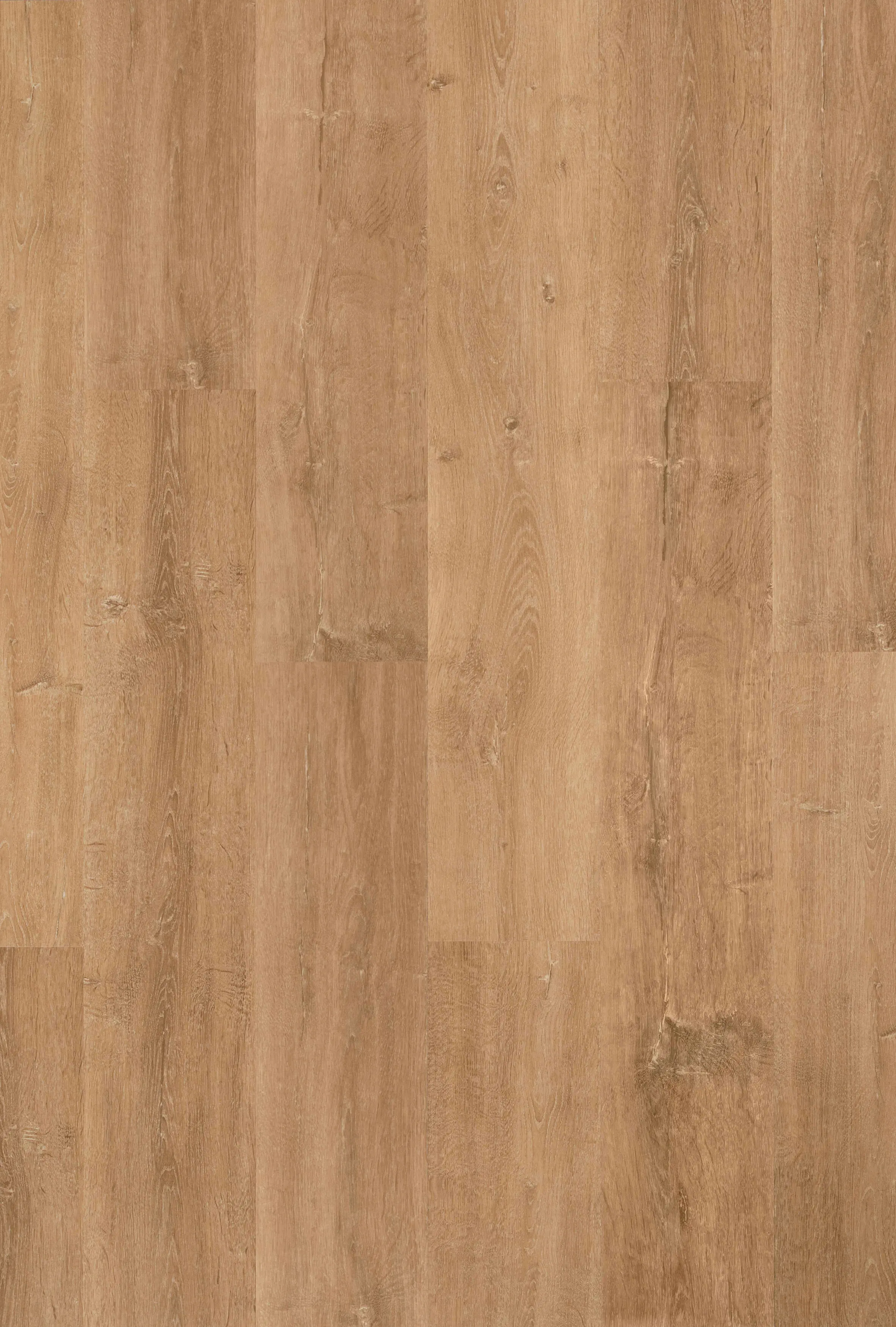 DÉCO SPA - Clap!GO Maui