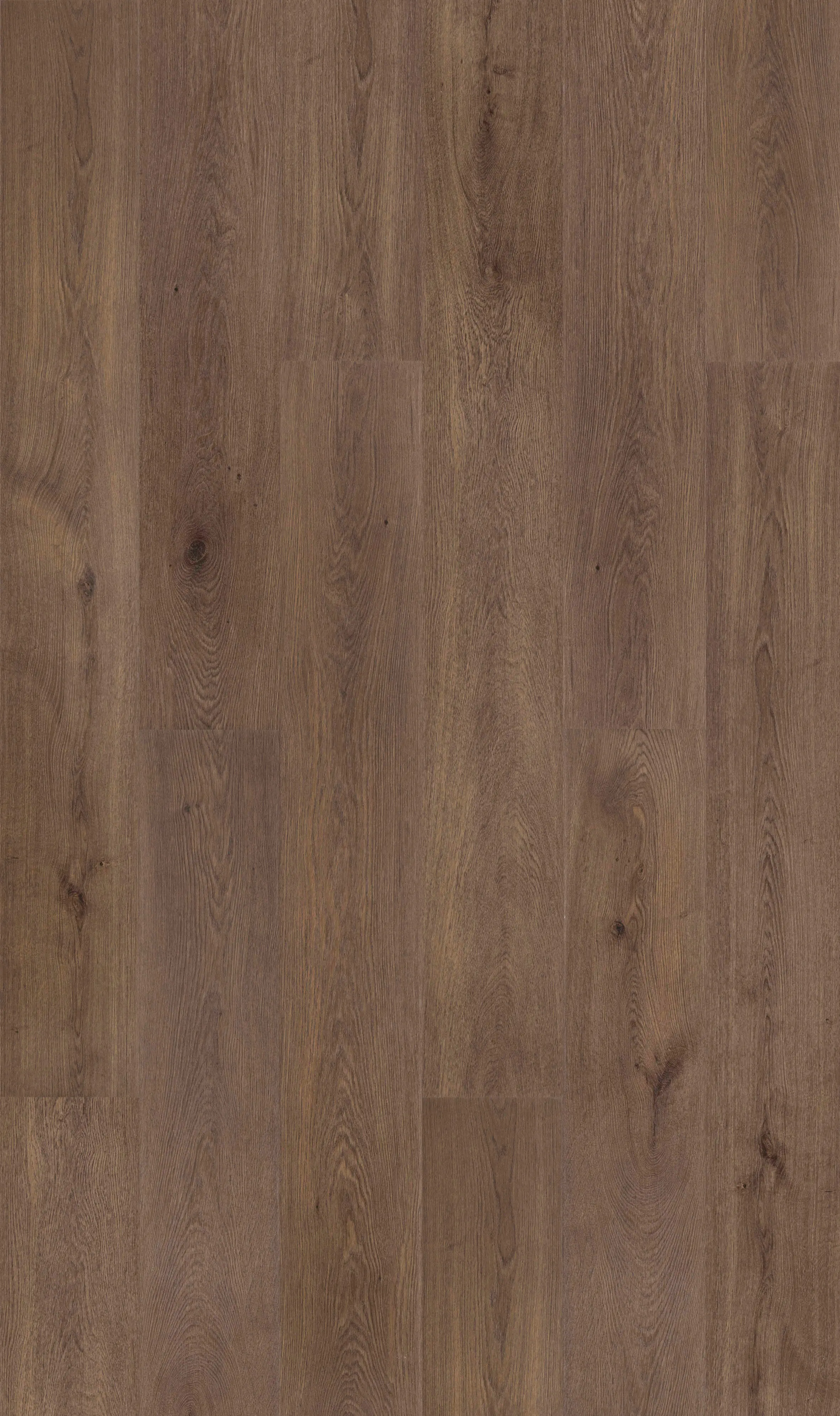 DÉCO SPA - CLAP!3D Board Gobi