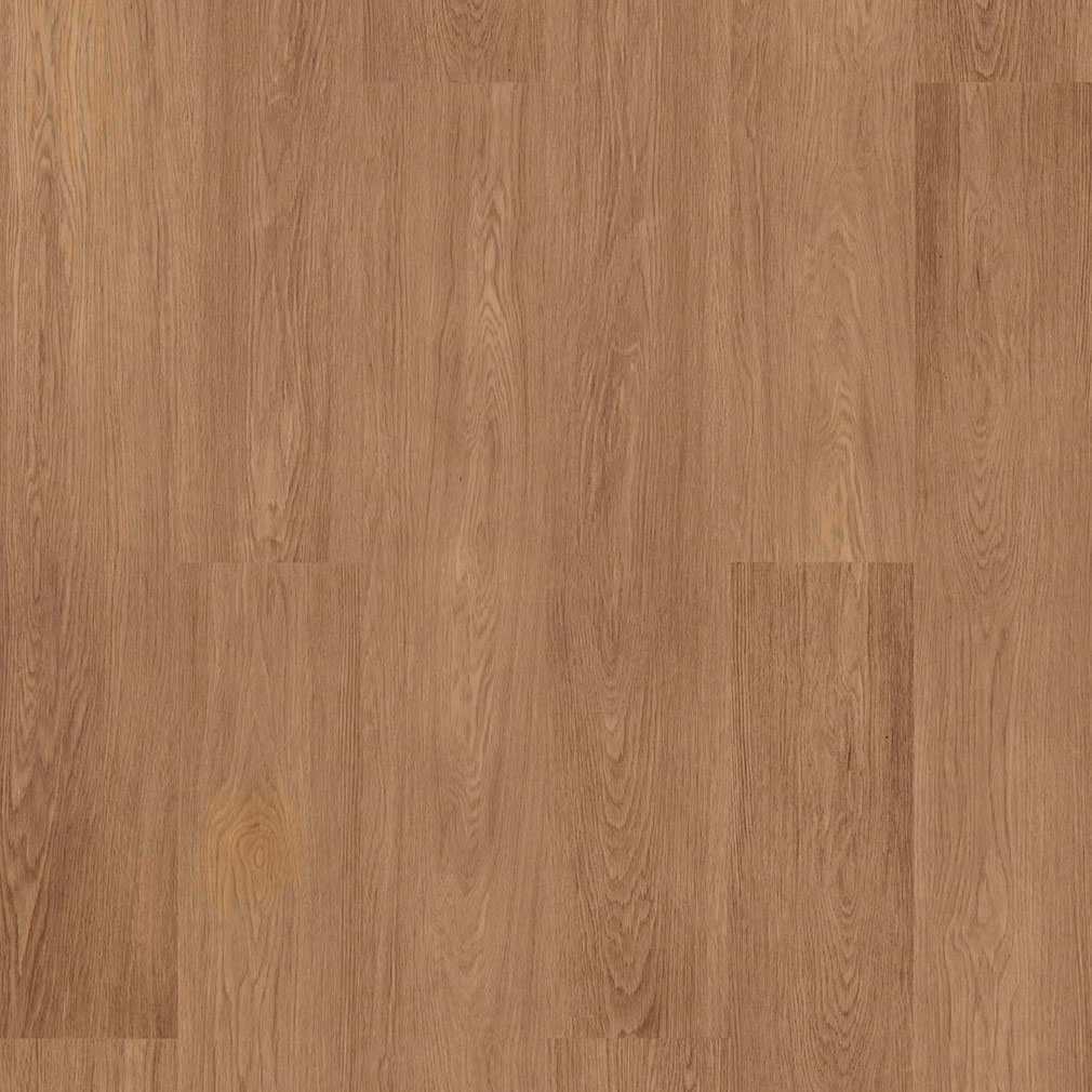 Display product CLAP!3D Board Zuma from manufacturer DÉCO SPA