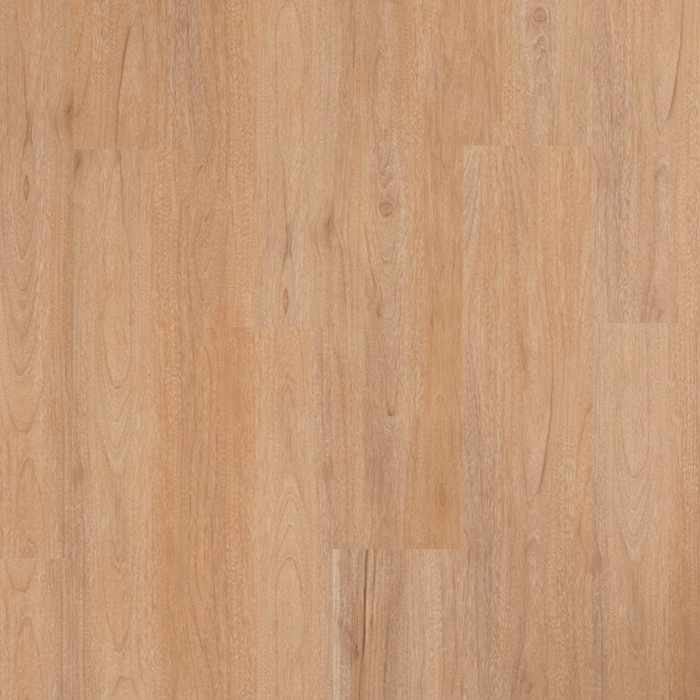 Display product CLAP!GO Sequoia from manufacturer DÉCO SPA