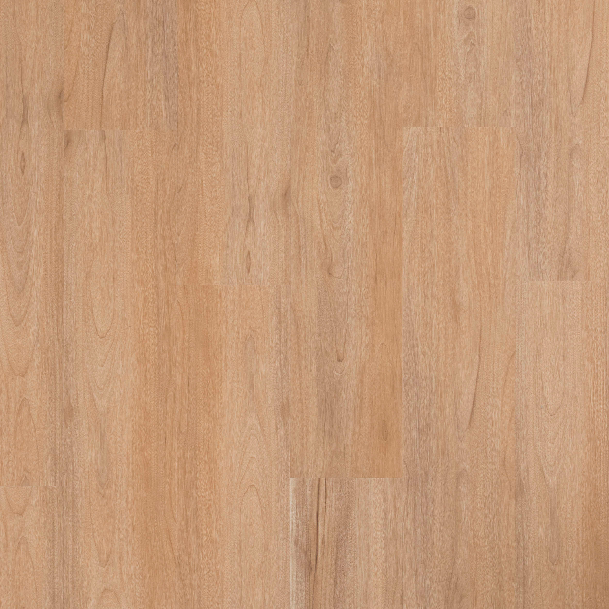 Display product CLAP!WALL Board Sequoia from manufacturer DÉCO SPA