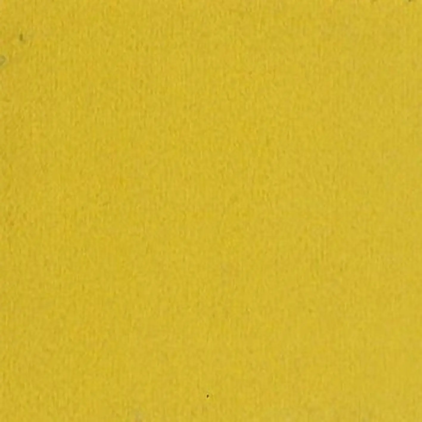 MX HOME - Cushions and Throws | Velvet shell cushion - Mustard