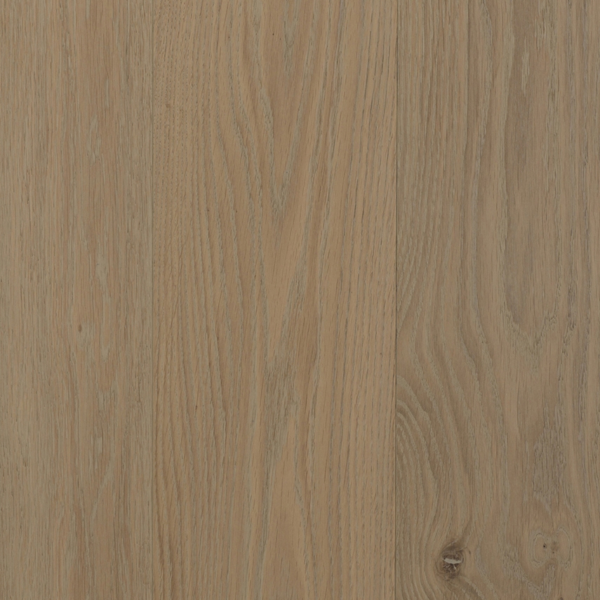 Display product Senape from manufacturer Mardegan Legno